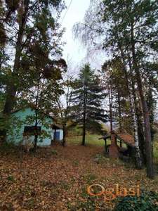 **RAJ NA FRUSKOJ GORI**